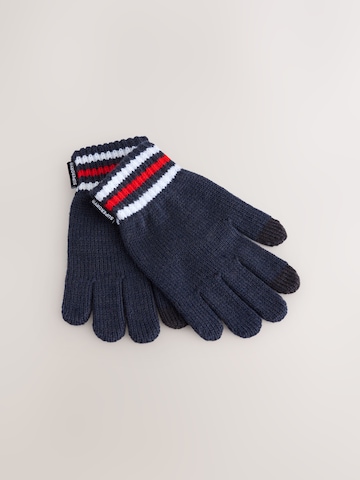 Superdry & Co Set in Blue