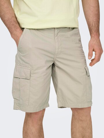 Only & Sons Regular Cargo trousers 'LOC' in Grey