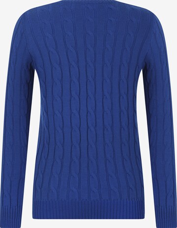 DENIM CULTURE Sweater 'ELISA' in Blue
