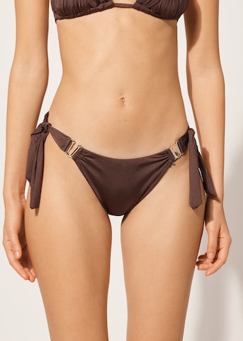 CALZEDONIA Bikini Bottoms in Brown: front