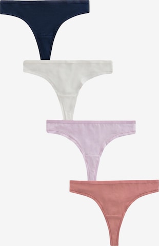 mišri Next Siaurikės: priekis