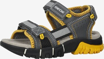 Chaussures ouvertes GEOX en jaune : devant