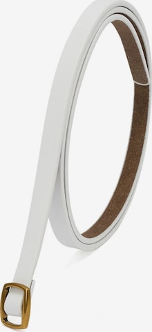 jolar Belt in White: front