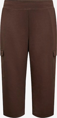 Wasabi Concept Regular Housut värissä ruskea: etupuoli