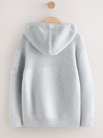 Next Sweater in Grey
