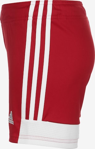 raudona ADIDAS PERFORMANCE Standartinis Sportinės kelnės 'Tastigo 19'