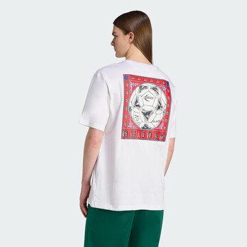 T-Shirt ADIDAS ORIGINALS en blanc : devant