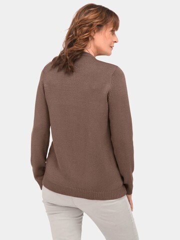 Pull-over Goldner en marron