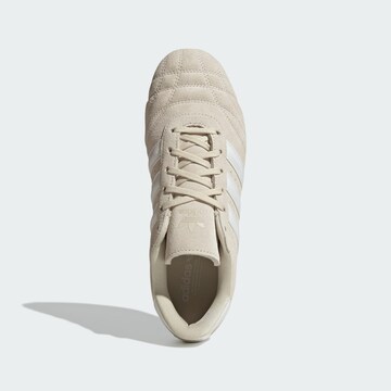 ADIDAS ORIGINALS Sneaker 'Taekwondo' in Beige