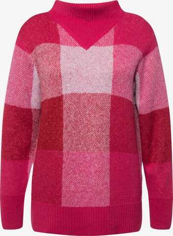 Ulla Popken Sweater in Pink: front