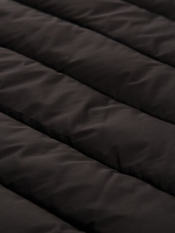 TOM TAILOR DENIM Bodywarmer in Zwart