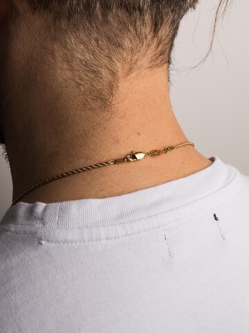 Akitsune Kette 'Immortalitas' in Gold