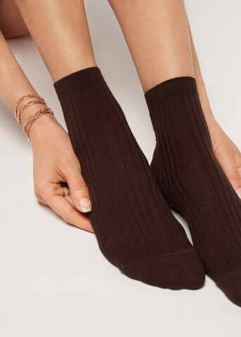 CALZEDONIA Socks in Brown: front