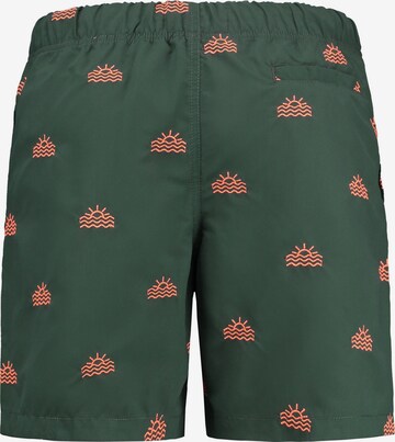 Shiwi Zwemshorts in Groen