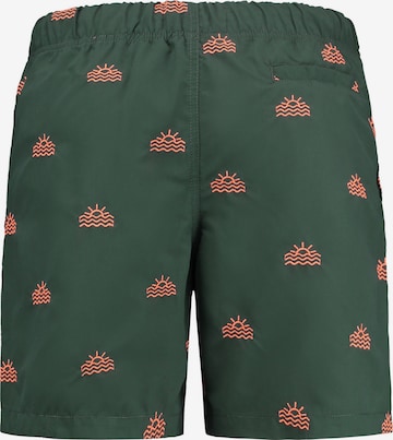 Shorts de bain Shiwi en vert