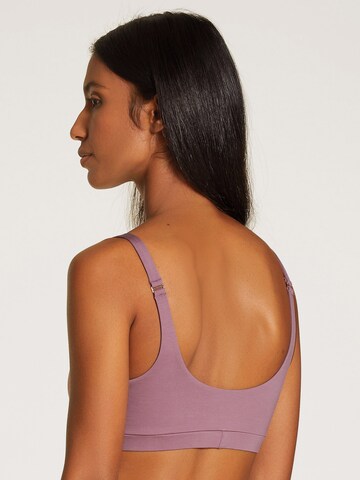 CALIDA Bralette Bra in Purple