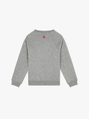 Sweat-shirt Scalpers en gris