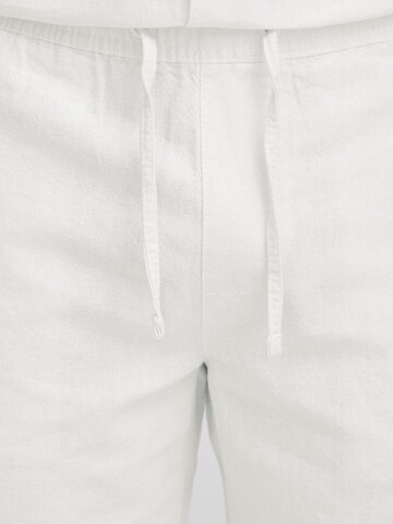regular Pantaloni chino 'Passa' di INDICODE JEANS in bianco