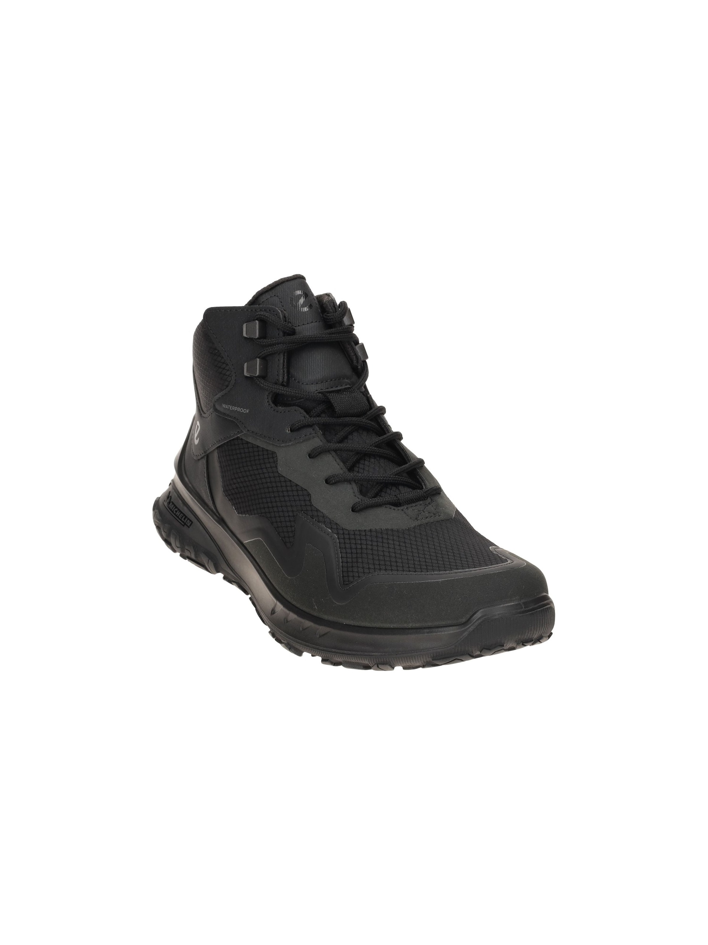 ECCO Boots‌‌‌‌‌‌‌ in Schwarz