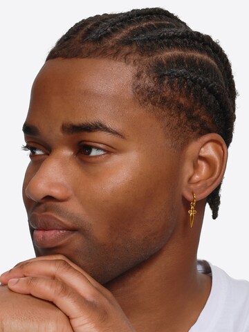 Heideman Earring 'Horus' in Gold: front