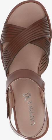 CAPRICE Strap Sandals in Brown