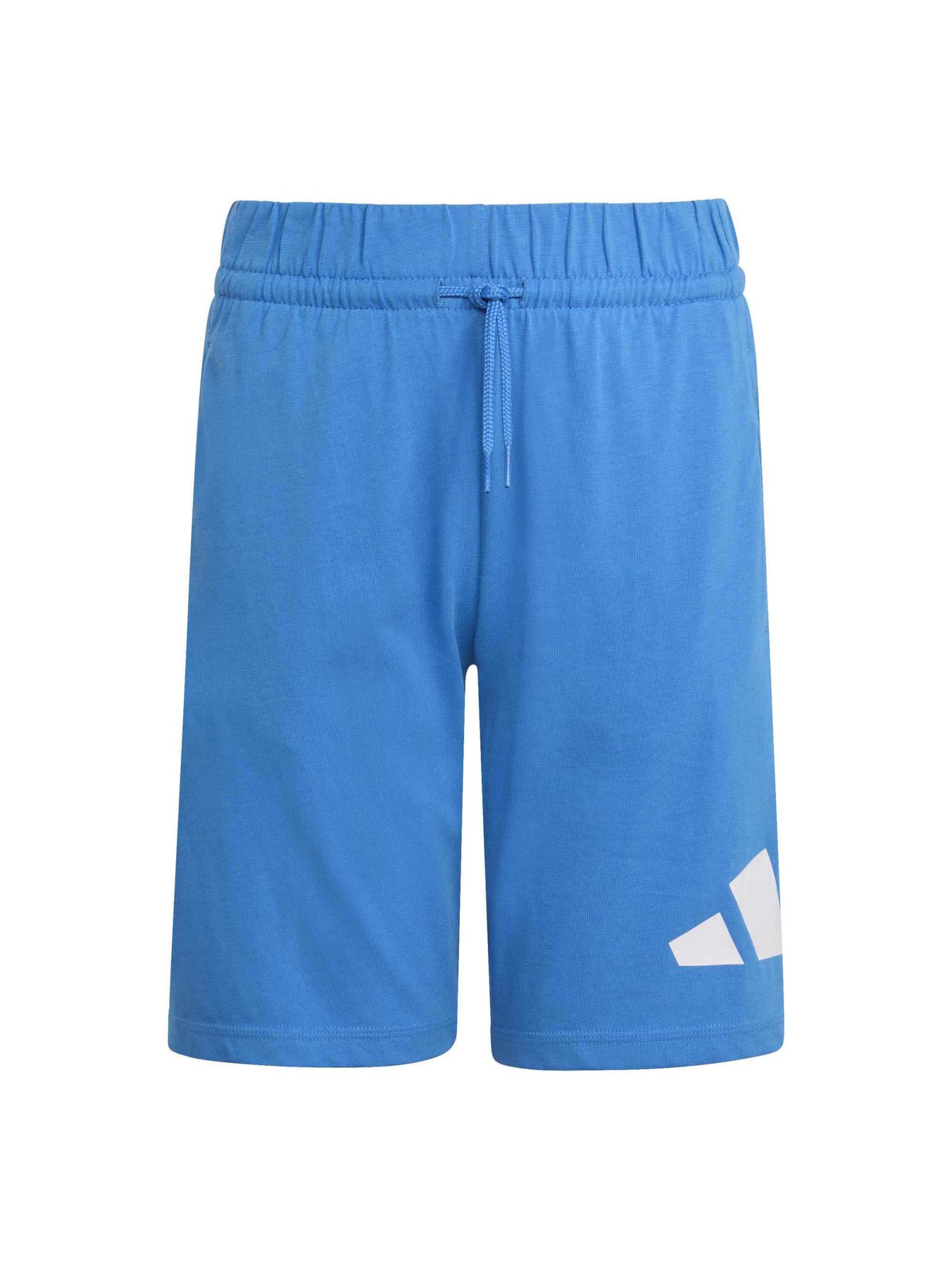 Pantalon 'Essentials' ADIDAS SPORTSWEAR en bleu : devant