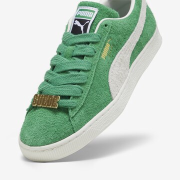 PUMA Sneaker low in Grün