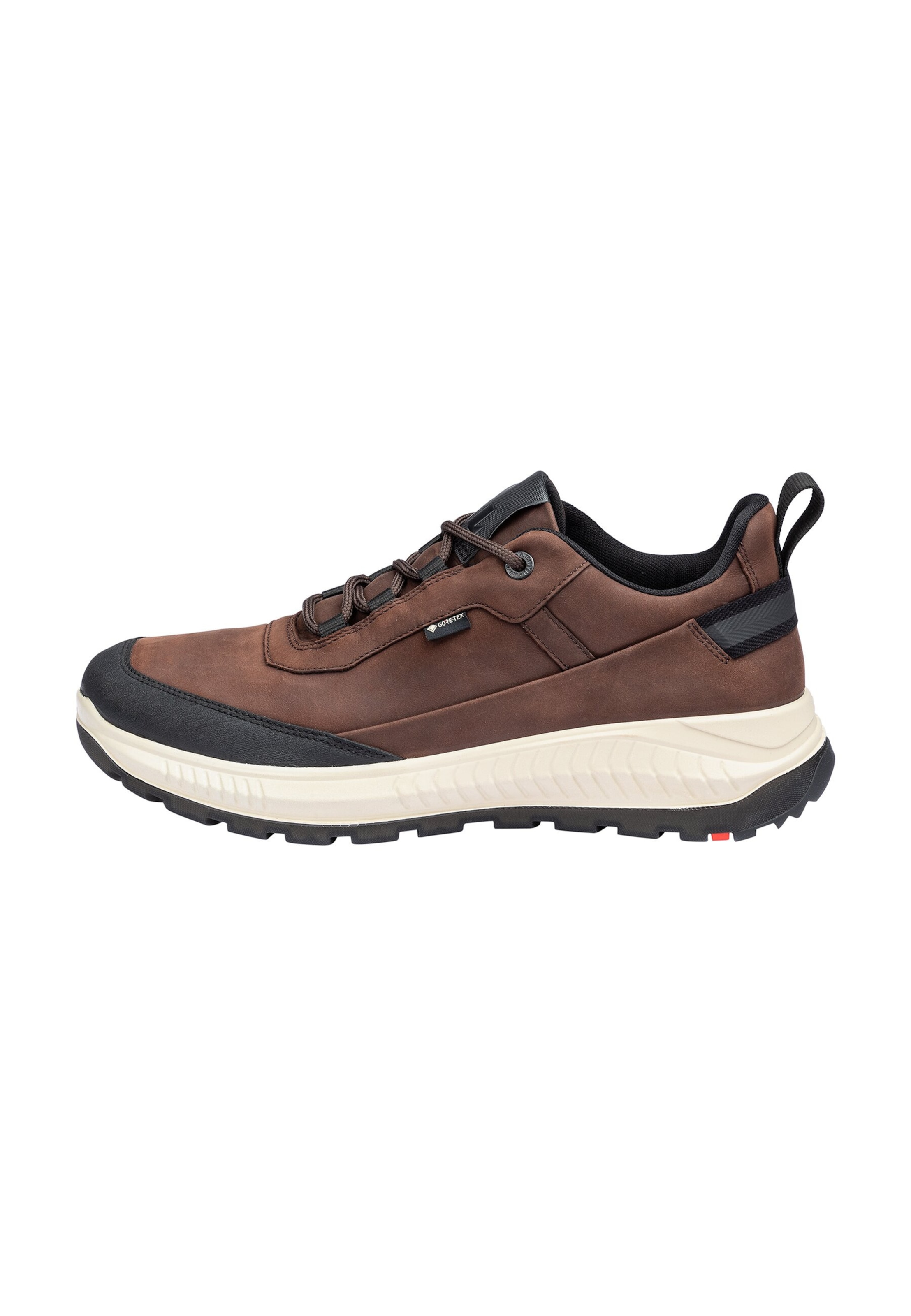 Chaussure basse LLOYD en marron : devant