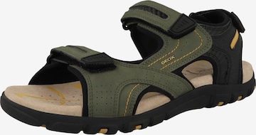 Sandalo 'U S.Strada D' di GEOX in verde: frontale