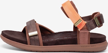 WODEN Sandals 'Line Lite' in Brown: front