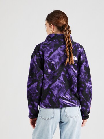THE NORTH FACE Sweater 'FLEESKI' in Purple