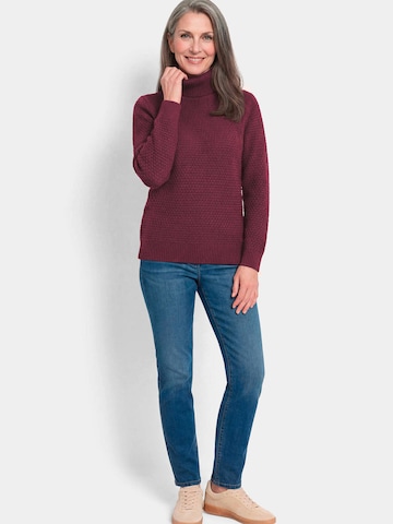 Goldner Sweater in Purple
