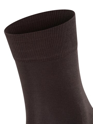 FALKE Ankle Socks 'Tiago' in Brown