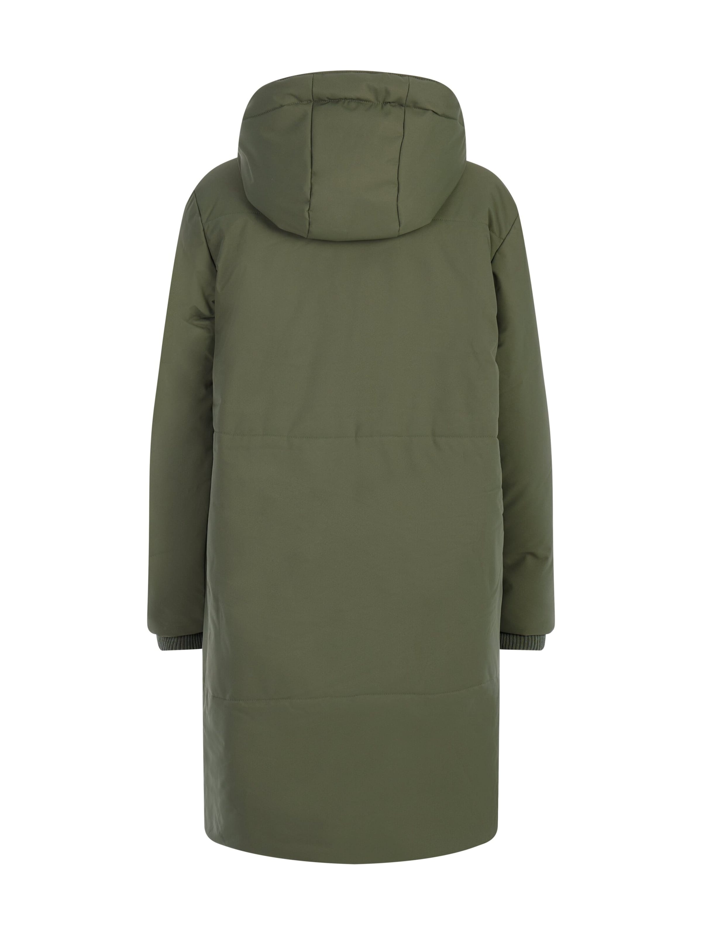PROTEST Winter Jacket 'PRTPipit' in Green