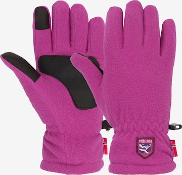 TROLLKIDS Gloves in Purple: front