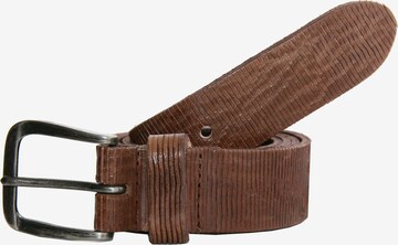 Petrol Industries Belt in Brown: front