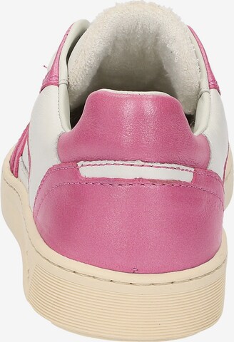 SIOUX Sneaker 'Tedroso-DA-700' in Pink