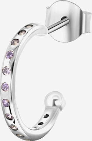Lucardi Earrings in Silver: front