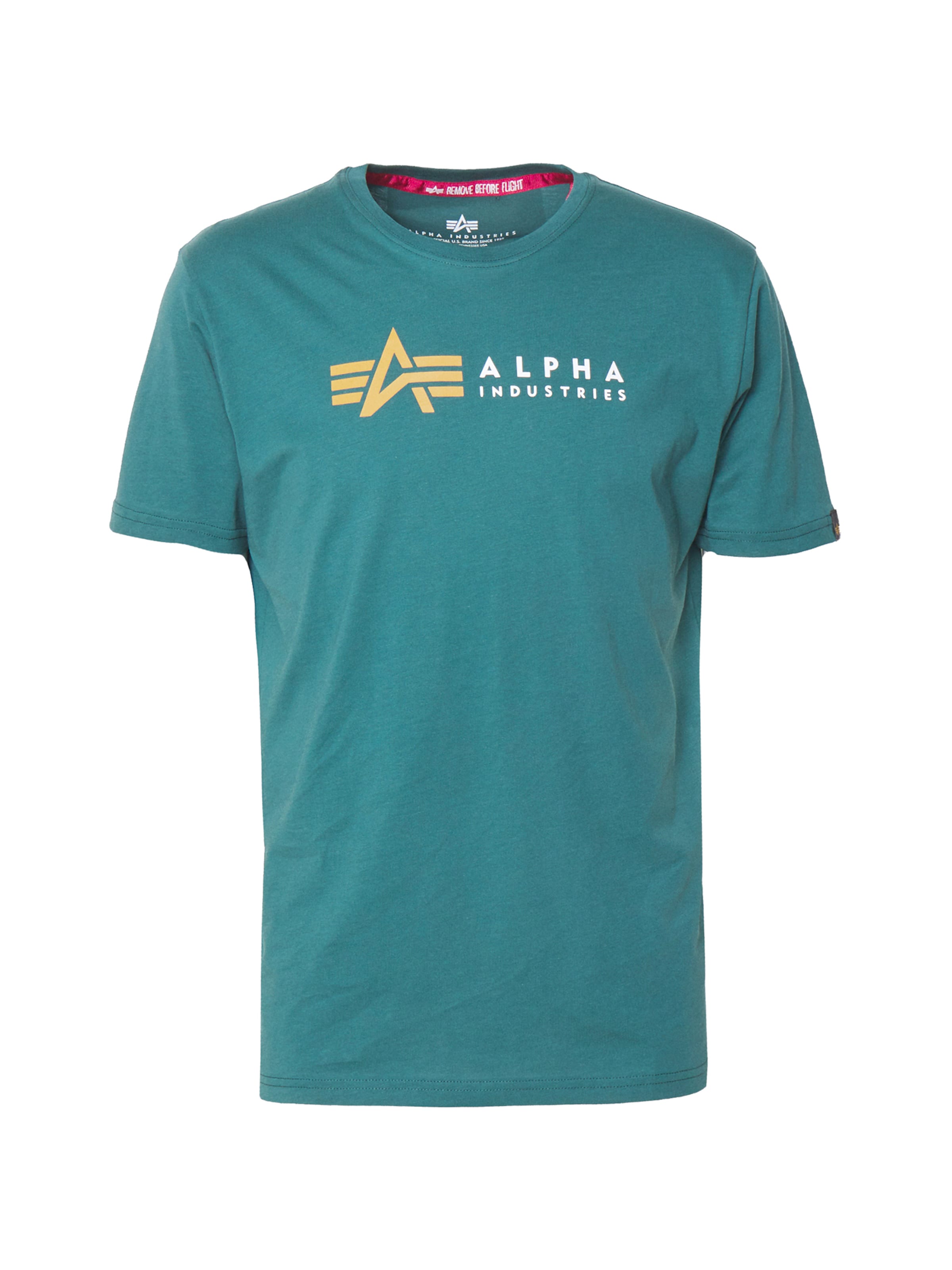 ALPHA INDUSTRIES Shirt in Green: front