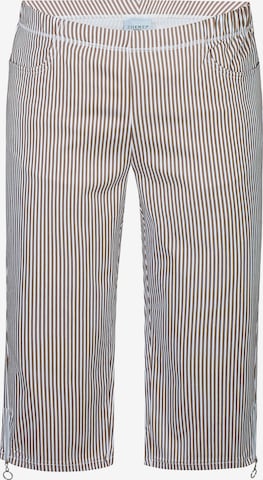 Pantalon 'Jazzy 71' Zhenzi en marron : devant