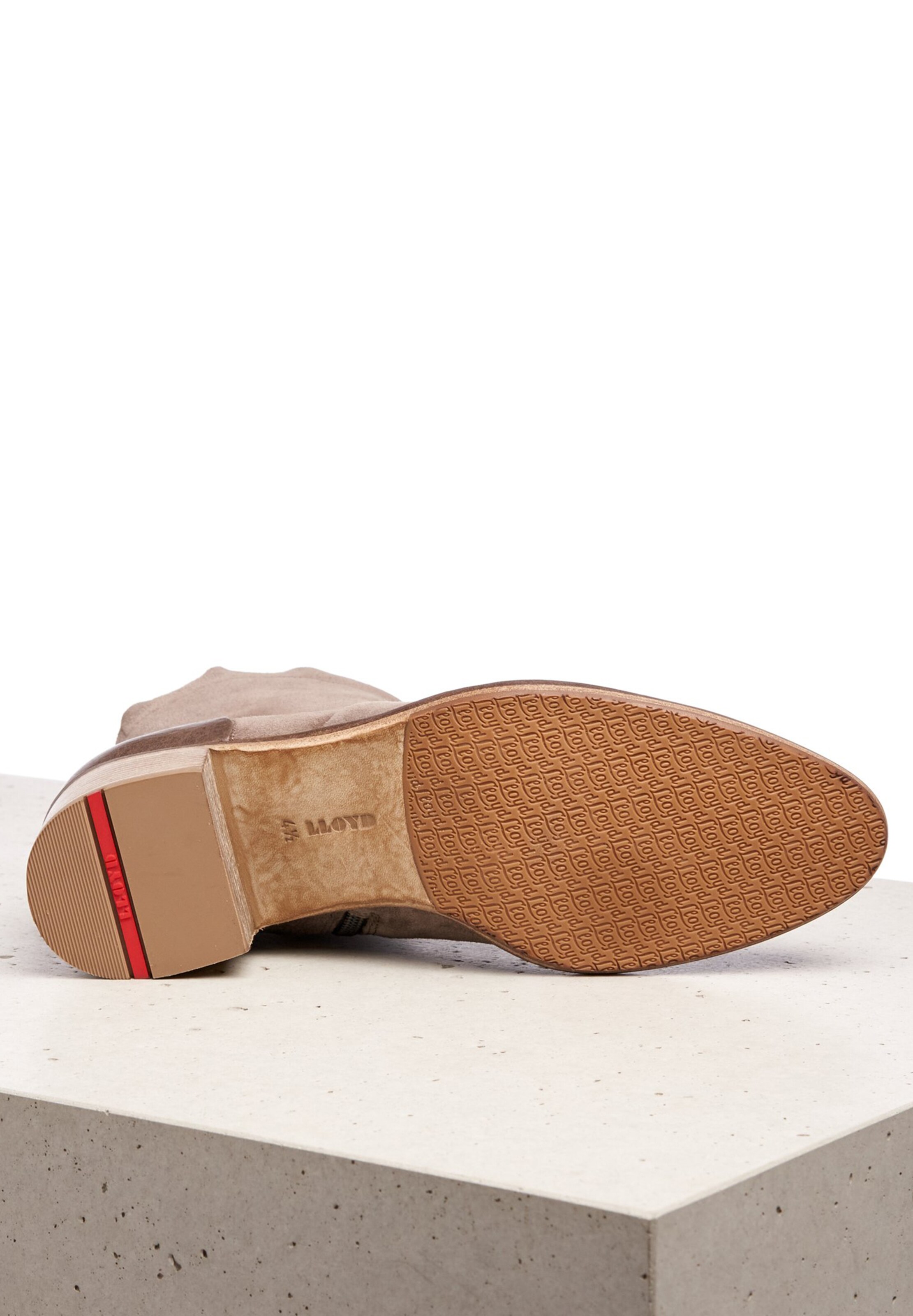 LLOYD Ankle Boots in Brown