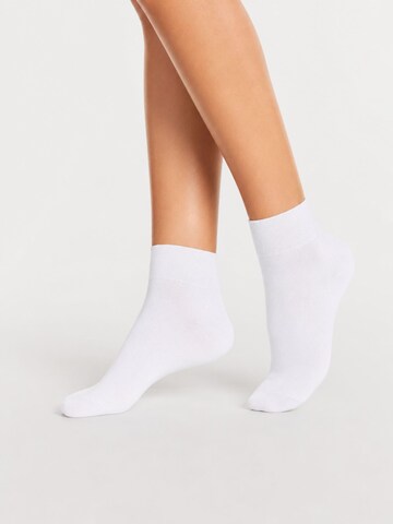 sockenkauf24 Socks in White: front