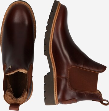 Chelsea Boots 'Gemma' PANAMA JACK en marron