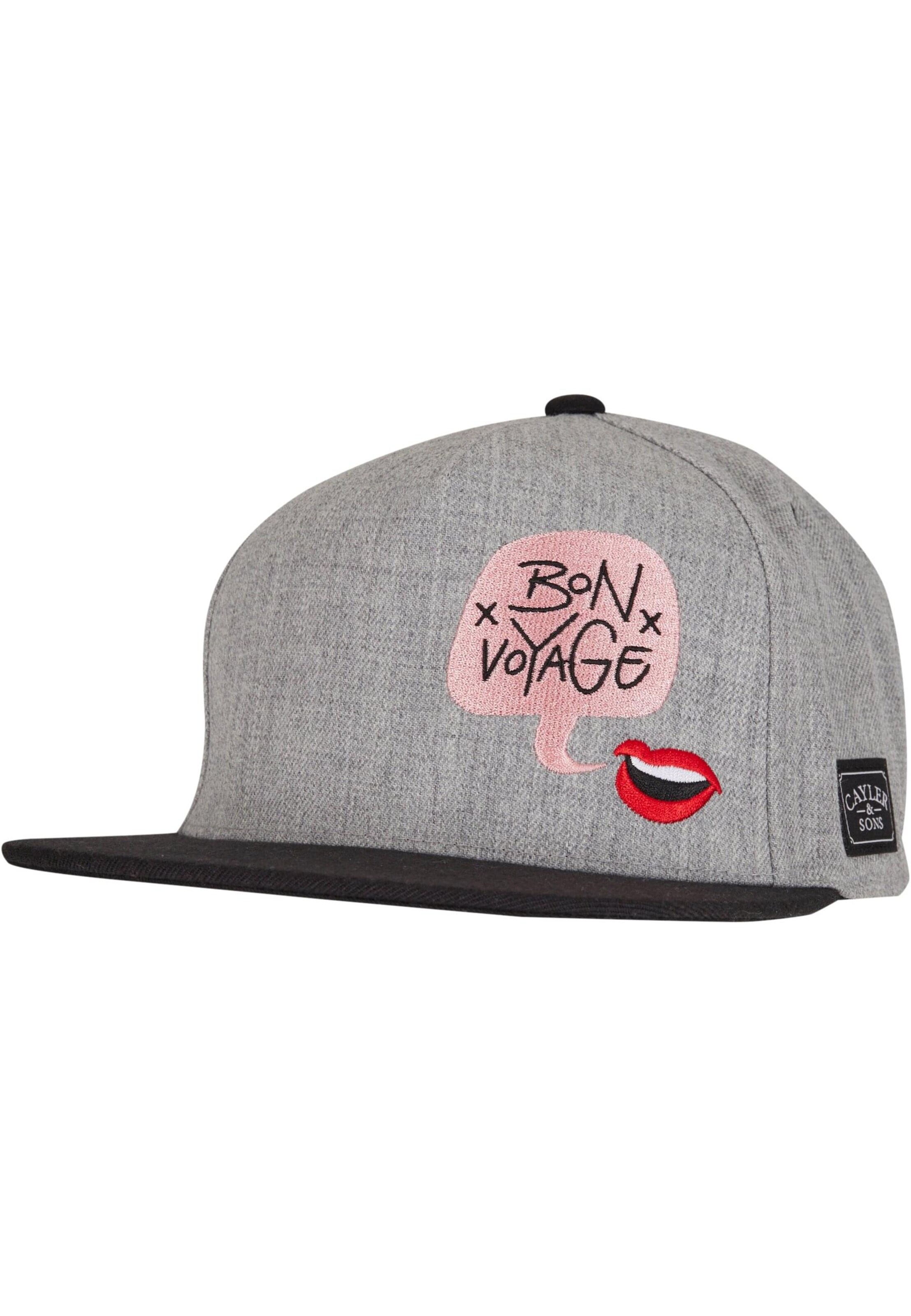 Cayler & Sons Cap 'Bouble Voyage' in Grey: front