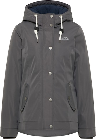 Yuka Performance Jacket in Grey: front