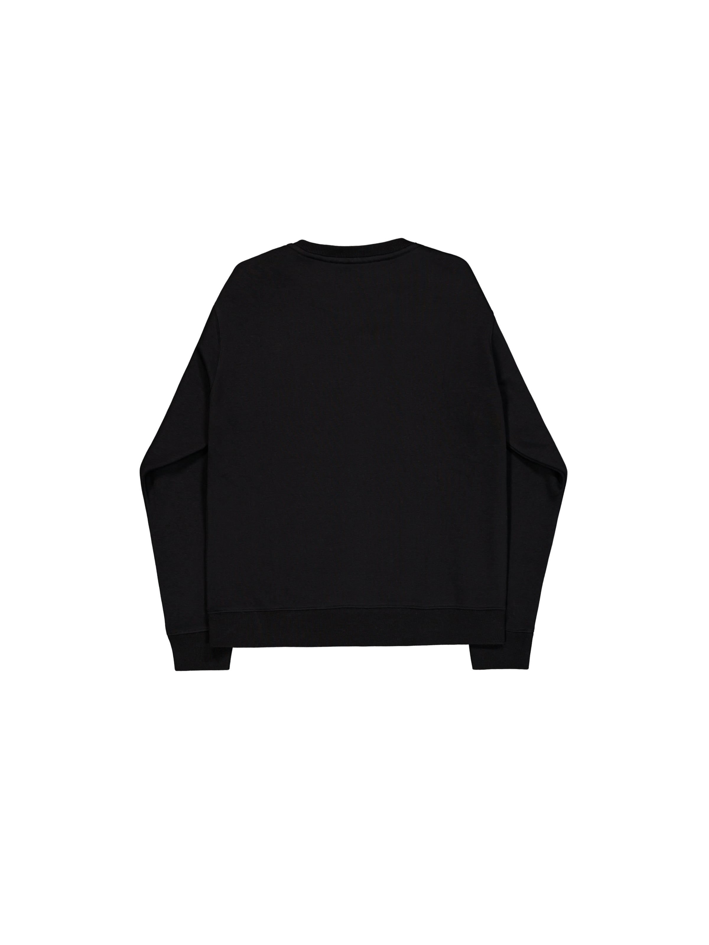 ALPHA INDUSTRIESSweater majica 'Foam' - crna boja