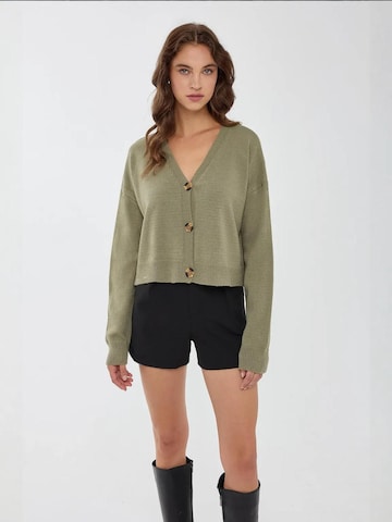 Hiccup Strickjacke in Grün: Vorderseite