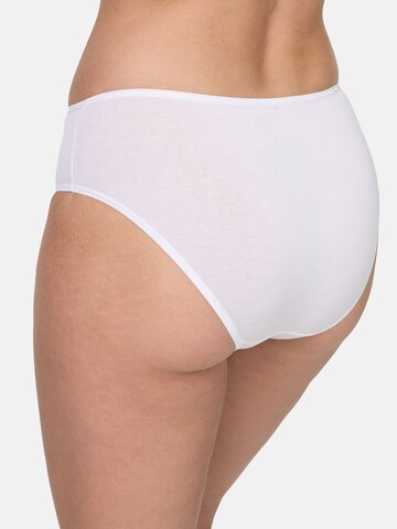 Nur Die Boyshorts in Mixed colors
