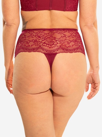 SugarShape Slip in Red