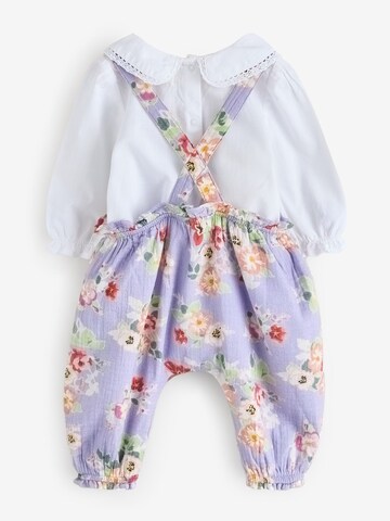 Next Sada – fialová